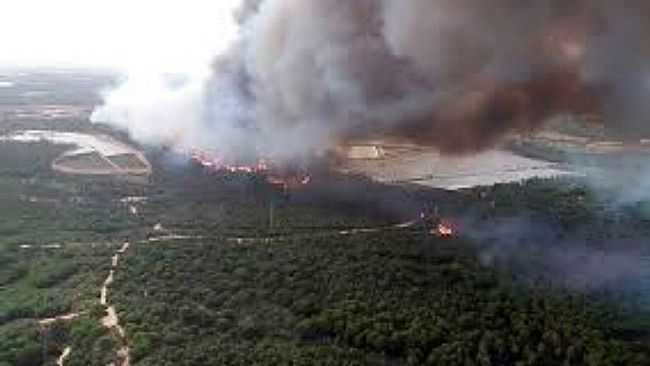 Ecologistas piden que se averigüe 'quienes queman el monte' tras los incendios en la provincia