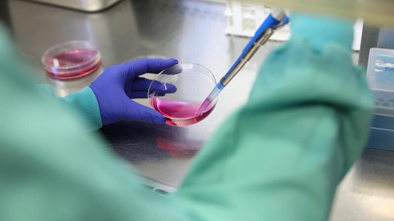 Las muertes diarias por coronavirus en España repuntan a 70 durante el último día