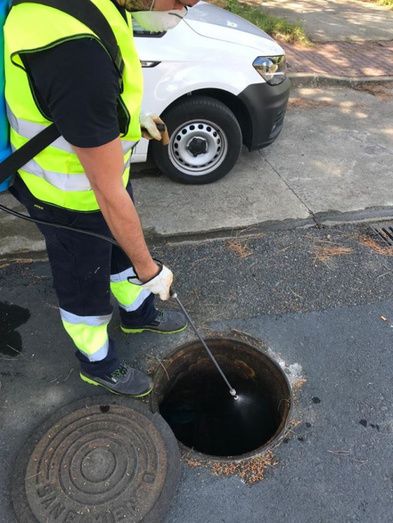 Campaña de desinsectación de cucarachas en Moguer y Mazagón