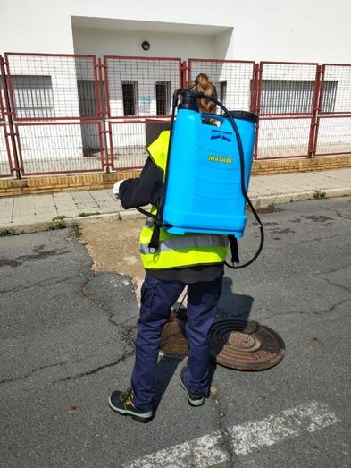 Doble campaña de control de mosquitos y cucarachas en Ayamonte