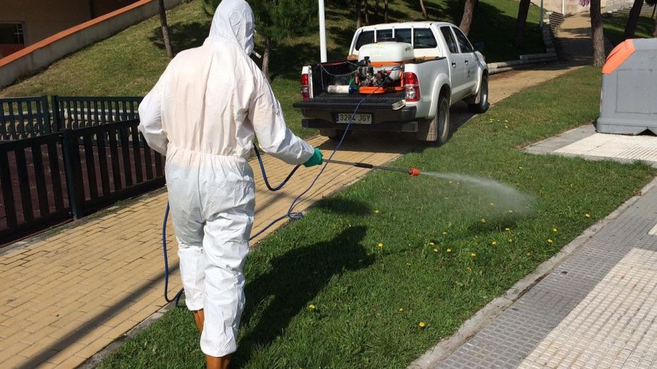 Punta Umbría comenzará el próximo martes la campaña de control de mosquitos