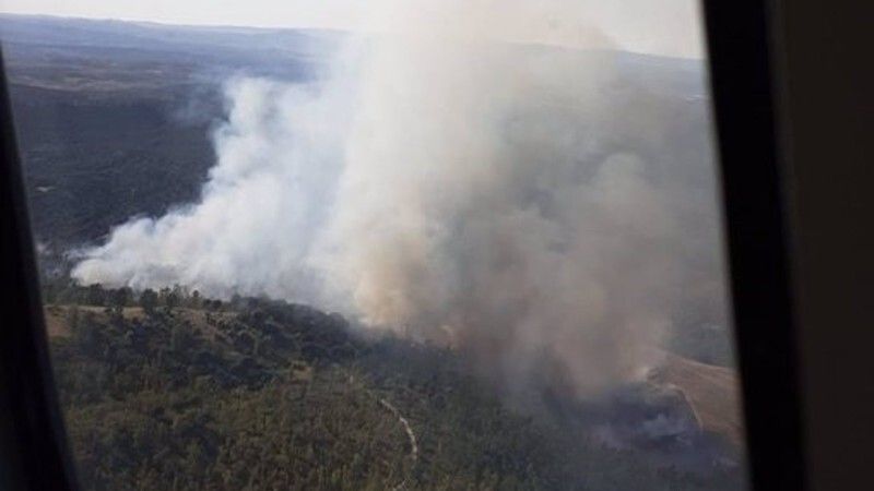 Controlado un incendio forestal en Calañas