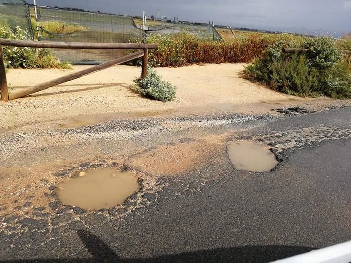 Lamentan 'el estado de deterioro y abandono' de la vía pecuaria de La Ribera