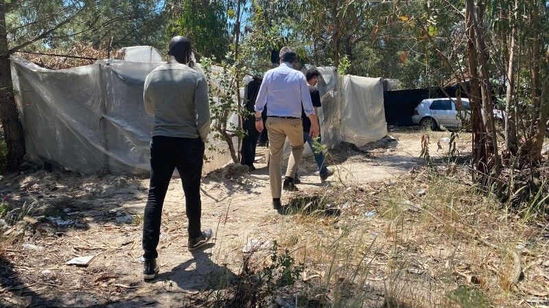 El runrún: La silenciosa muerte de Asís