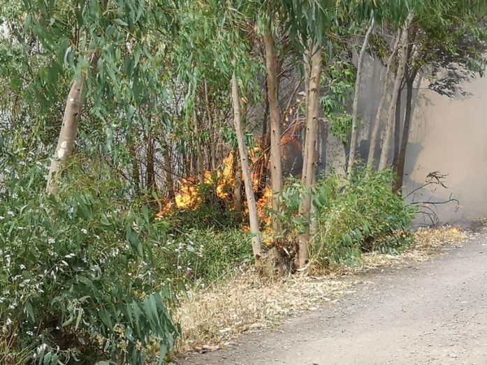 Incendio junto al río Odiel en Gibraleón