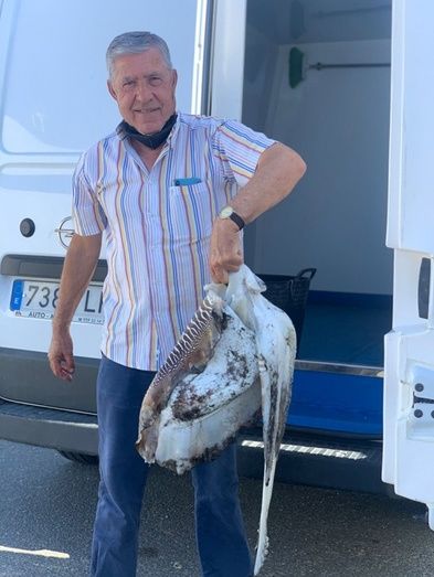 El runrún: El mayor choco pescado en Huelva