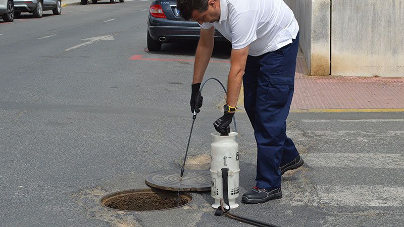 Plan de choque en Punta Umbría contra las plagas de cucarachas y roedores