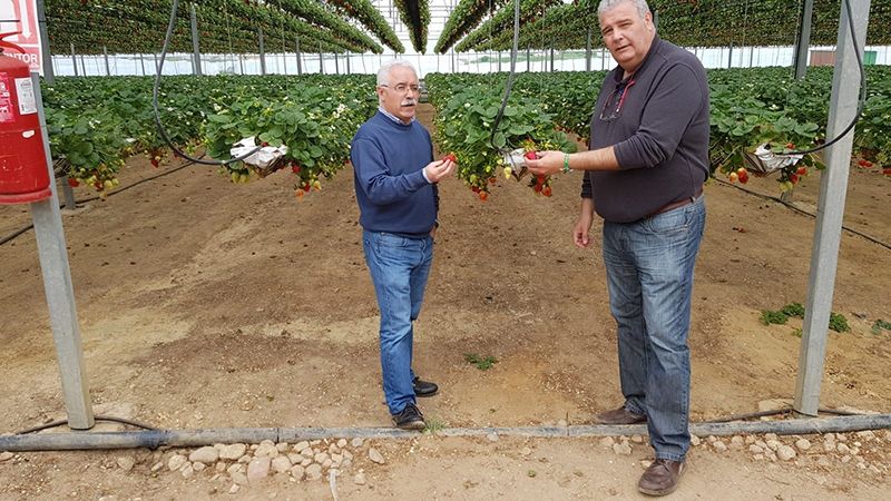 UGT impugna la tabla salarial del campo que 'detrae 3,4 millones de euros a trabajadores'