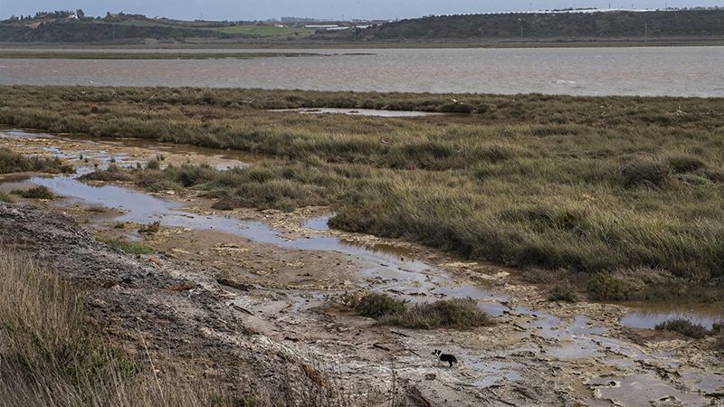 Grupos ecologistas y estudiantiles se manifiestan contra los 'vertidos ilegales' de Fertiberia