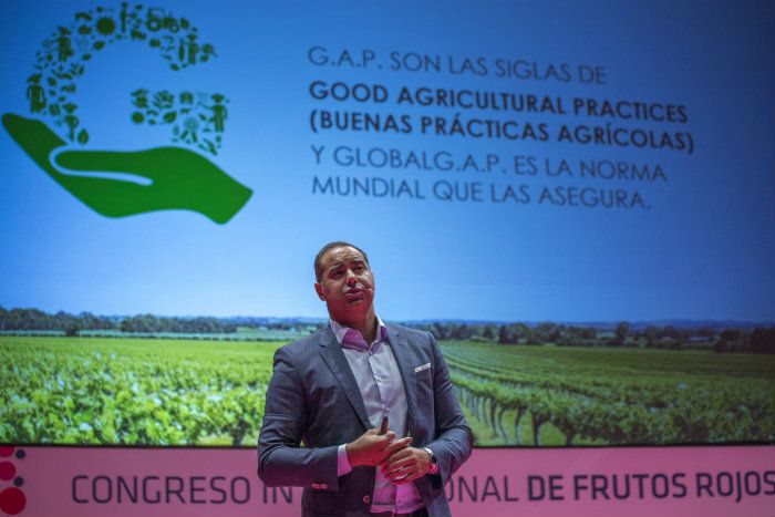 Propiedades nutricionales y el enorme potencial antioxidante de los frutos rojos como nuevos valores de venta