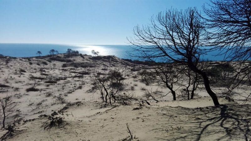 La cuenta del incendio de Doñana se acerca a los 100 millones dos años después