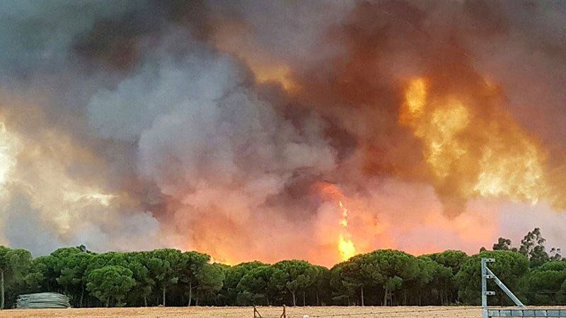 La cuenta del incendio de Doñana se acerca a los 100 millones dos años después