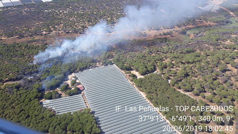 Logran estabilizar rápidamente un nuevo fuego que se había iniciado en Las Peñuelas