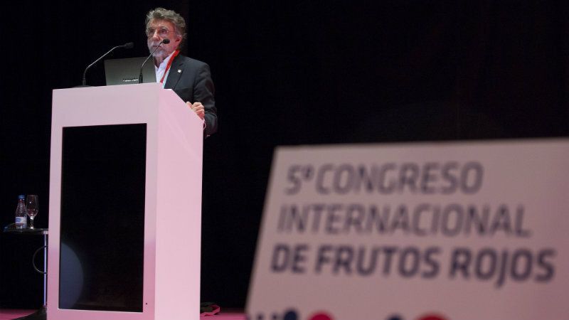 Propiedades nutricionales y el enorme potencial antioxidante de los frutos rojos como nuevos valores de venta
