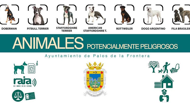Palos de la Frontera lanza su campaña de seguridad sobre perros potencialmente peligrosos