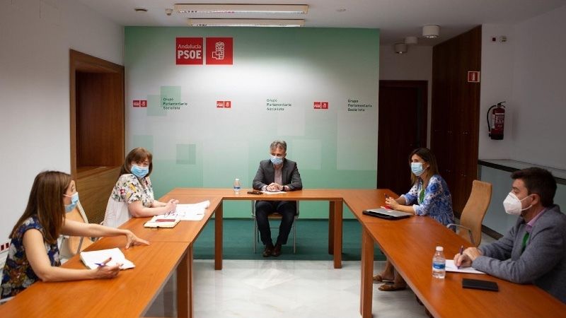 El PSOE traslada su 'apoyo' a la 'legítima' moción de censura de Cartaya y critica la 'pataleta' del PP