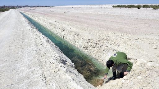 Fertiberia estudia recurrir el auto que vuelve a solicitarle el aval para la restauración de las balsas de fosfoyesos