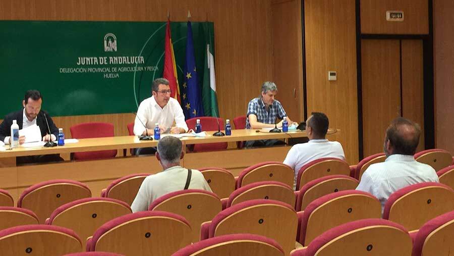 La Junta avanza en las soluciones para el sector de los mariscadores a pie
