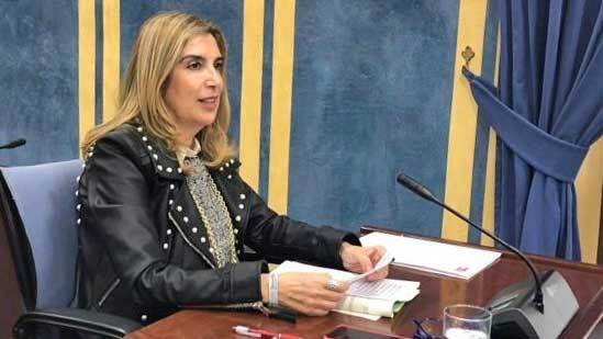 El PSOE ve 'insuficientes' los planes de empleo de la Junta y pide medidas extraordinarias