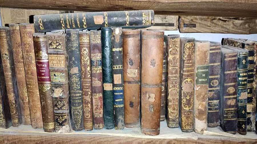 Importante hallazgo de documentos históricos en la antigua casa del cura de Hinojos