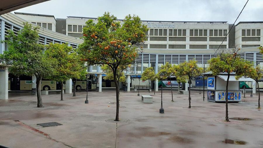 Denuncian que opera una línea ilegal de transporte de personas en el entorno de la estación de autobuses
