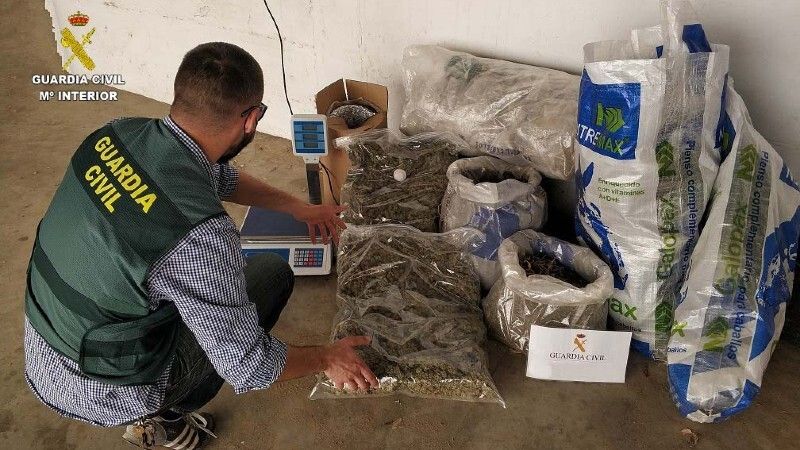 Un grupo de 'okupas' se adueña de una casa para montar una plantación de marihuana