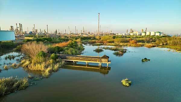 Cepsa celebra el 20º aniversario de la restauración de La Laguna Primera de Palos