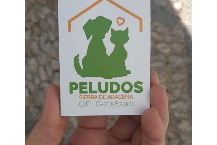 El runrún: ¿Qué ELO viene a Huelva?