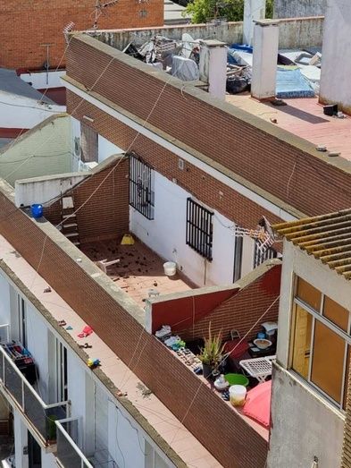 El Ayuntamiento propone sellar el edificio okupado de la calle Tharsis por seguridad