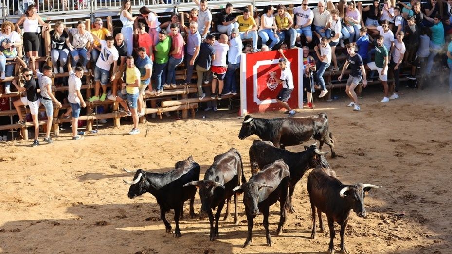 San Juan del Puerto, ante el día grande de sus fiestas patronales