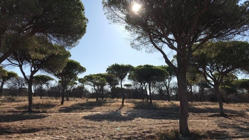 Condenan a dos años de prisión a un padre y a su hijo por extraer de manera ilegal agua en una explotación fresera
