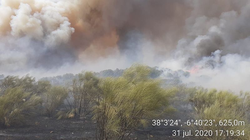 Cerca de una decena de medios aéreos trabajan en la extinción de un incendio en Cumbres Mayores