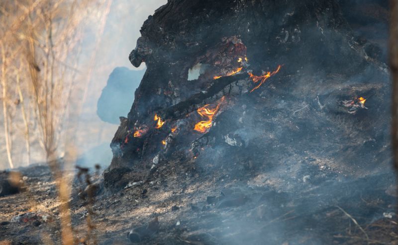 De nuevo el fuego se come las laderas del Conquero