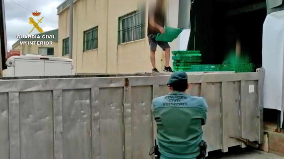 Requisan e incineran más de 600 jamones indocumentados no aptos para el consumo humano