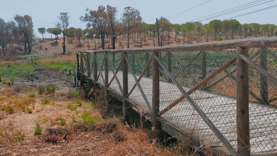 Piden la reconstrucción de la pasarela de madera entre Bellavista y Corrales