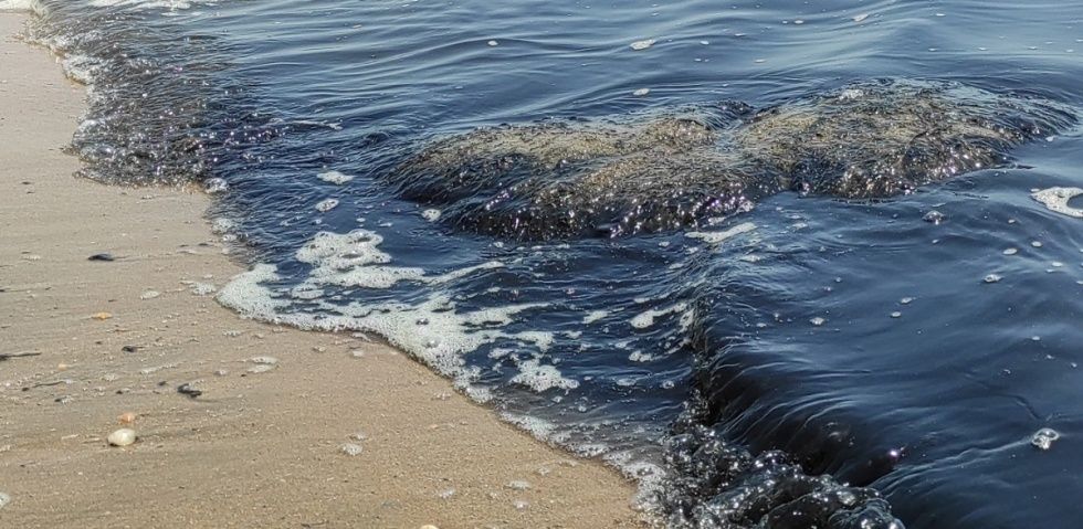 Extraños lodos en la playa de Mazagón