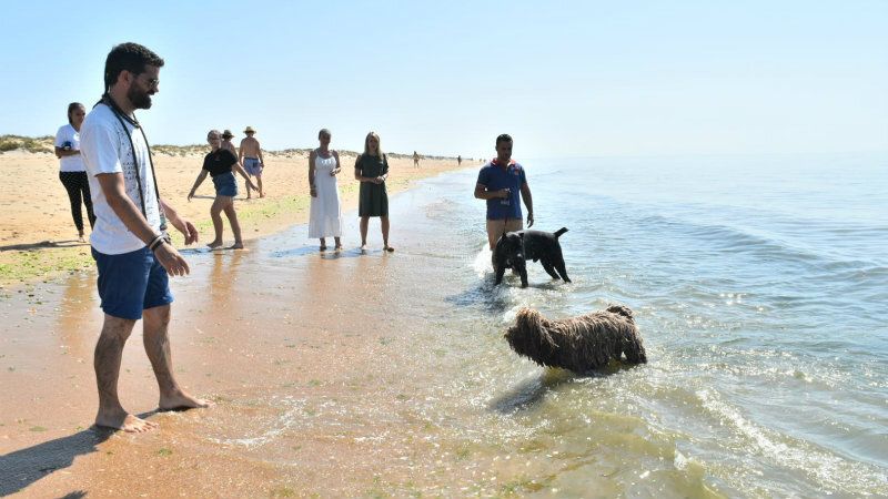 Aclaran cuál es la zona habilitada como 'playa canina' tras las quejas de varios de los clientes de los chiringuitos Santa Pura y Atlántico