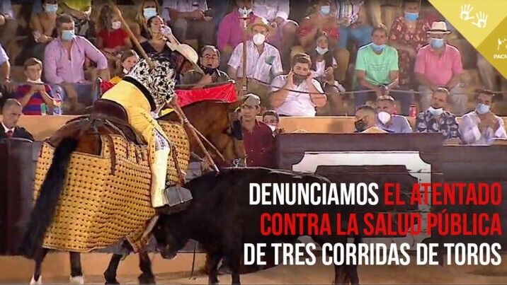 Pacma denuncia la corrida de toros de las Colombinas y que los organizadores sean sancionados 'acorde a la gravedad de los hechos'