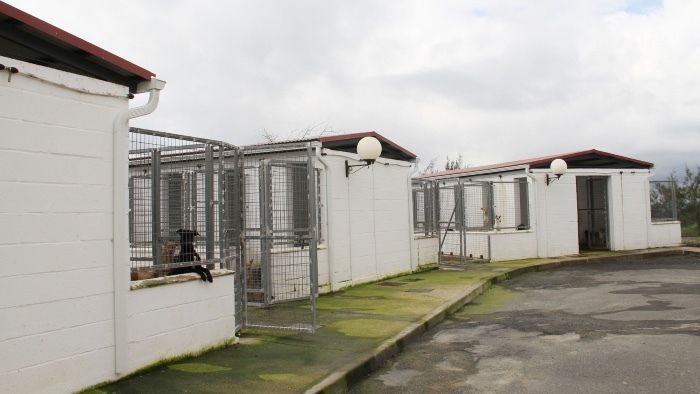 Diputación promueve la adopción de los animales del refugio y subvenciona a las asociaciones de la provincia
