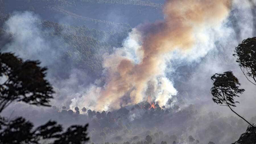 El incendio se acerca a Valverde y obliga a desalojar a decenas de vecinos de El Pozuelo