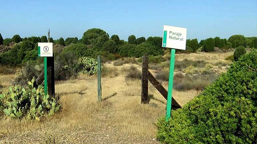 La Junta pone en marcha tres nuevas actuaciones en espacios naturales onubenses