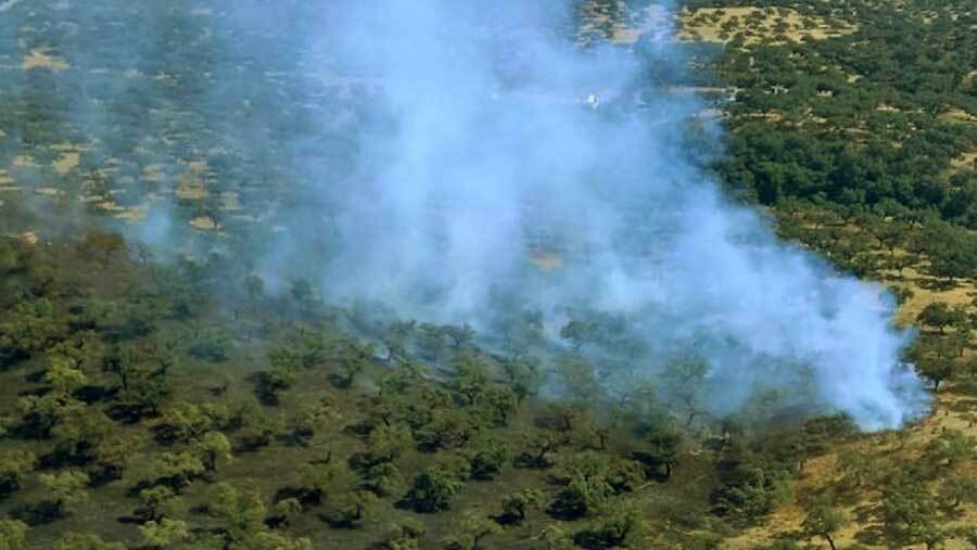 Estabilizado el incendio de Gibraleón mientras el Infoca lucha contra otros dos en Santa Olalla y Almonte