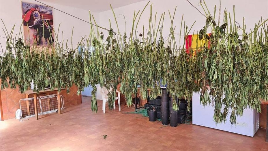 Denuncian irregularidades en el transporte y depósito de la marihuana intervenida por la Guardia Civil