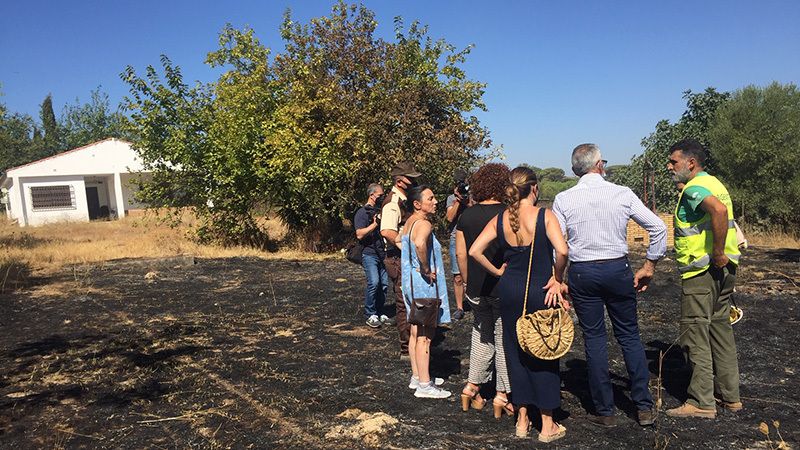 Diputación y Subdelegación llaman a 'no bajar la guardia' ante los incendios forestales en Huelva