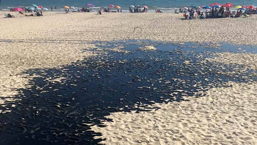 Vertido de aguas fecales en la playa de Matalascañas