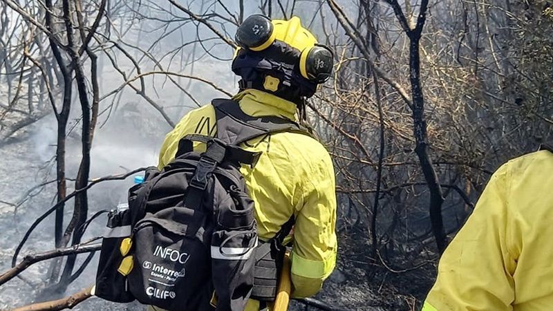 Queda controlado el fuego de Bonares, que ha arrasado unas treinta hectáreas