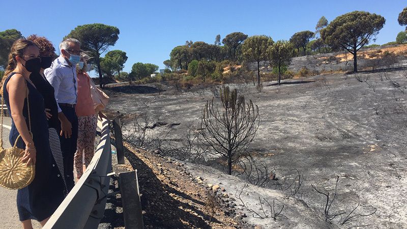Diputación y Subdelegación llaman a 'no bajar la guardia' ante los incendios forestales en Huelva