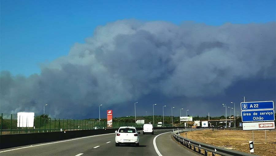 Más de 200 efectivos luchan contra el fuego junto a la frontera con Portugal