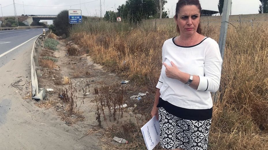 El Ayuntamiento de San Juan insta a la Junta a limpiar arcenes y cunetas a su paso por el casco urbano