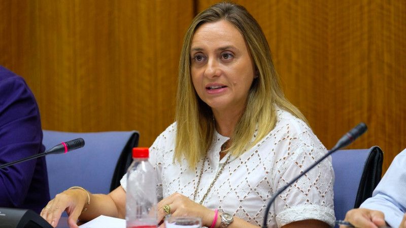 La Junta dice que la Huelva-Cádiz 'es a largo plazo por el coste tan importante que tiene'